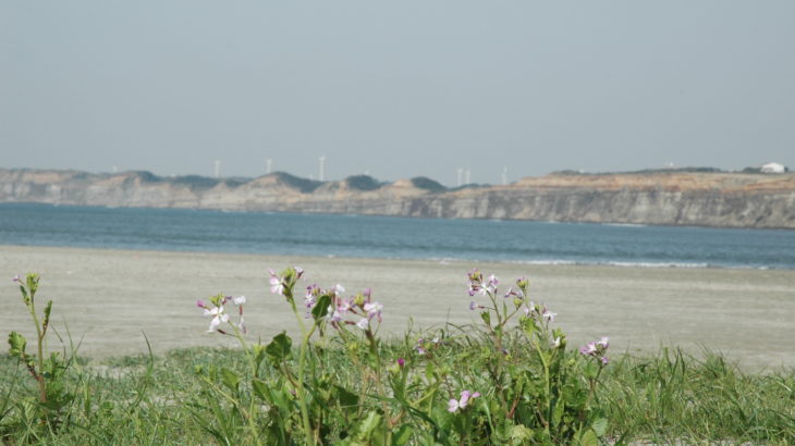 2016春-銚子・屛風ヶ浦